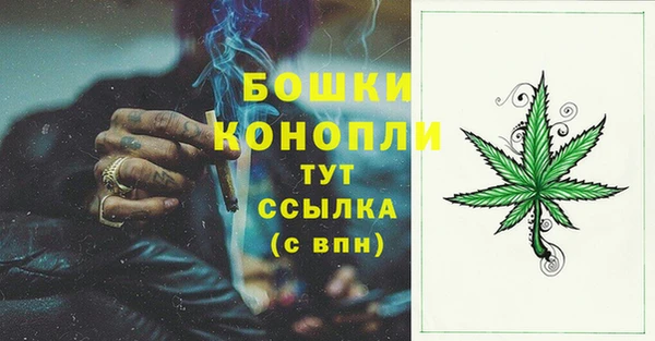 PSILOCYBIN Горнозаводск