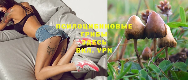 прущие крисы Няндома