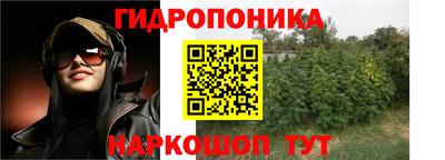 дурь Берёзовский