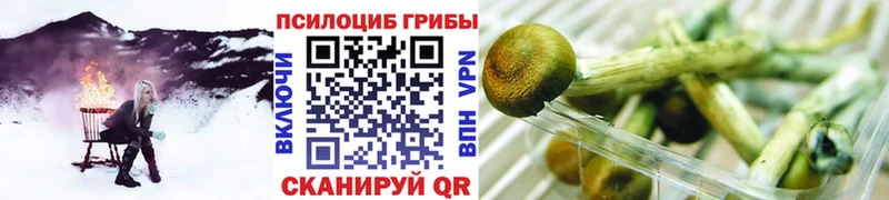 Галлюциногенные грибы GOLDEN TEACHER  Саки 