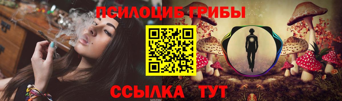 Галлюциногенные грибы Psilocybine cubensis Саки