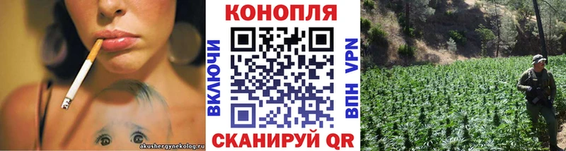 Конопля конопля  omg зеркало  Саки 